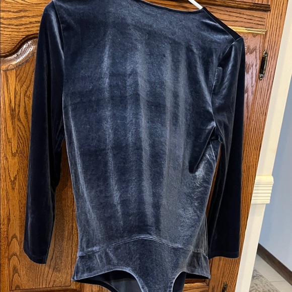 Banana Republic Velvet Bodysuit - Picture 10 of 16